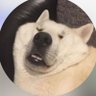 jacck's profile picture