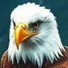 Profilbild von YEVANOORUVAN90
