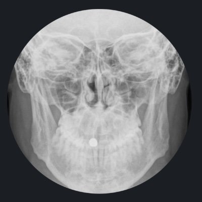 James Noake's profile picture