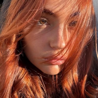 laneferlaux's profile picture