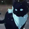 Profilbild von Anaxibluu