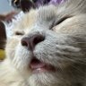 Profilbild von MOMGER303