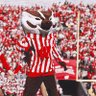 BUCKY.'s profile picture