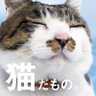 Фото профиля らっき