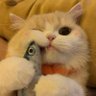 star_Lee's profile picture