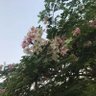 Фото профиля Nadia Nadia