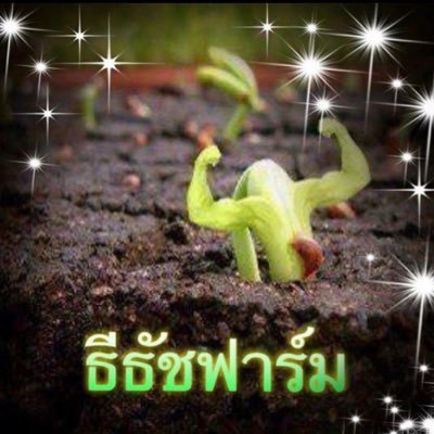 ธีธัชฟาร์ม's profile picture