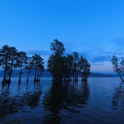 枫's profile picture