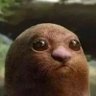 Profilbild von Bitch 637