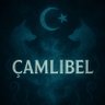 🇹🇷 Nihat ÇAMLIBEL 的头像