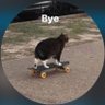 Ahmed's profile picture