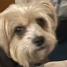 Profilbild von Sherry hughes