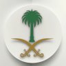 SAMEER 🇸🇦💛's profile picture