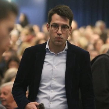 Dobrica Veselinović's profile picture