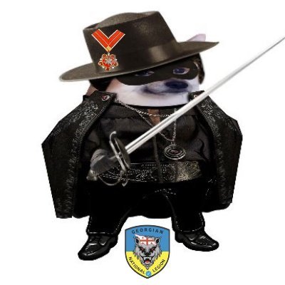 Gavril Ducu 🇷🇴🇩🇪🇺🇲🇳🇱🇪🇺@🇺🇦's profile picture