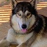 JMD profil fotoğrafı