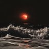 Фото профиля Beachnut