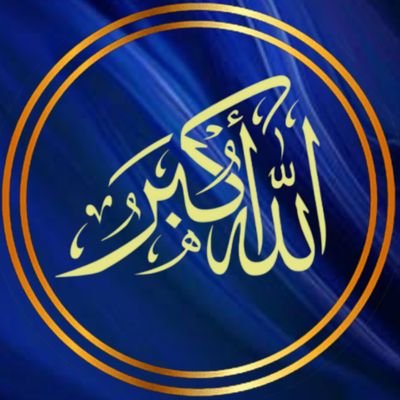 محمد الهلالي's profile picture