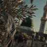 السلطان|💎 profil fotoğrafı