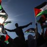 🔻🇵🇸🔻's profile picture
