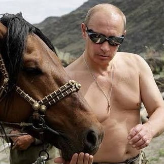 xherdantahiri's profile picture