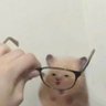 Brandy's profile picture