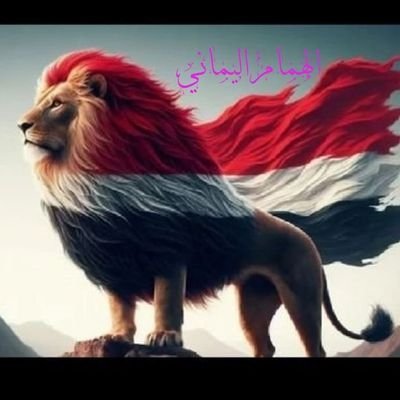 LyALHamam's profile picture