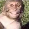 Stephen's profile picture