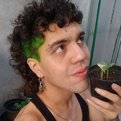 ⭑ ⚝ TulipaDev ⚝ ⭑'s profile picture
