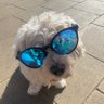 Profilbild von Rick