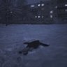 🌨️ profil fotoğrafı