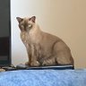 Linda's profile picture