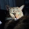 Michelle's profile picture