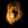 ⚜️ вandar ⚜️ profil fotoğrafı