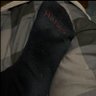 Stonedtime420's profile picture