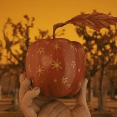 daylightlvrs's profile picture