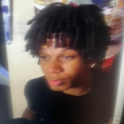 LilMeatDev's profile picture