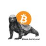 Sinau ₿itcoin 🧡's profile picture