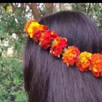 زهرة جازان 🇸🇦's profile picture