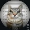 Profilbild von Test