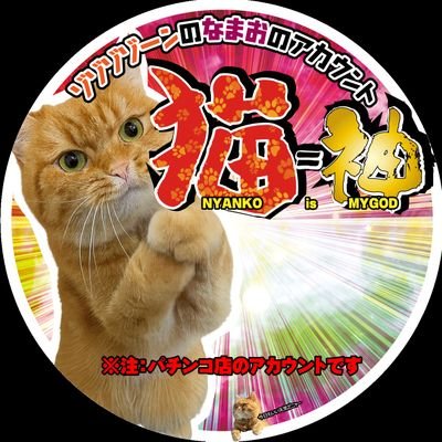 zozozo_zone's profile picture