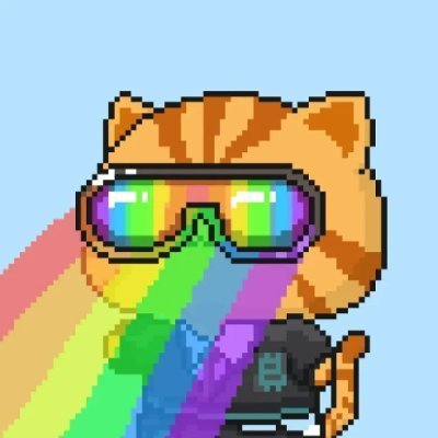 0xJason's profile picture