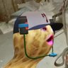 The Burnt Peanut Clips's profile picture
