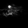 極夜 profil fotoğrafı