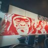 frothing monkey 的头像