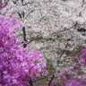 Фото профиля いろはに転生
