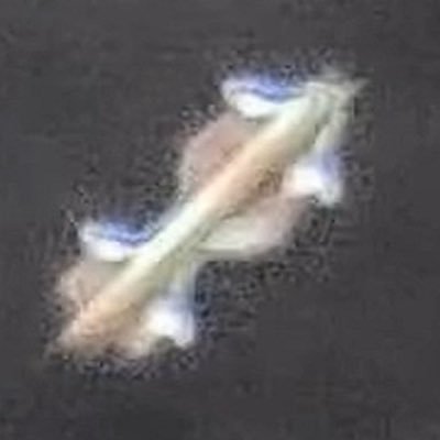 mtgrra's profile picture