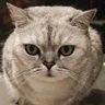 Profilbild von Supermiao