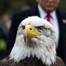 Фото профиля TakingOurCountryBack