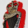 ex RUC/PSNI Inspector 的头像